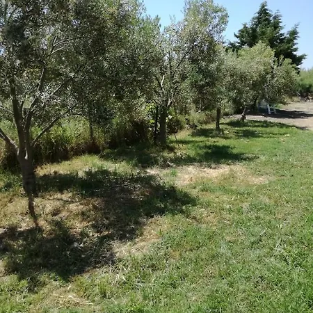 Alexandra's Houses